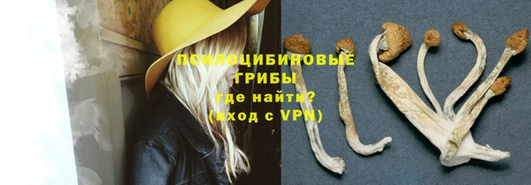 прущая мука Кулебаки