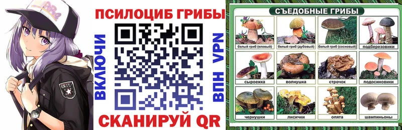 Купить  Буинск  Галлюциногенные грибы MAGIC MUSHROOMS 